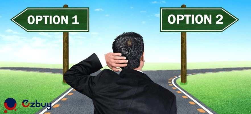 choosing-japanese-business-options
